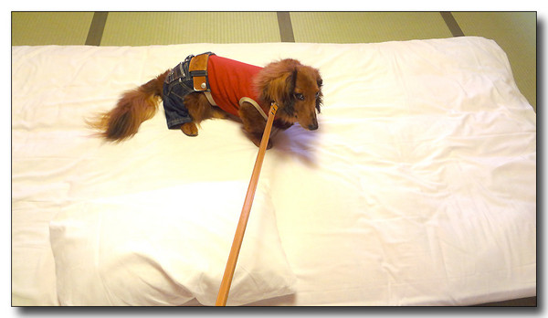 20130530103903.JPG