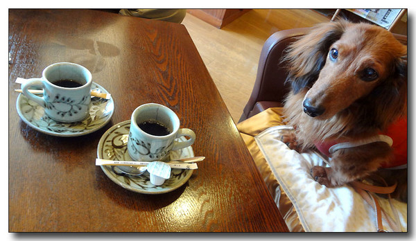 20130530103904.JPG