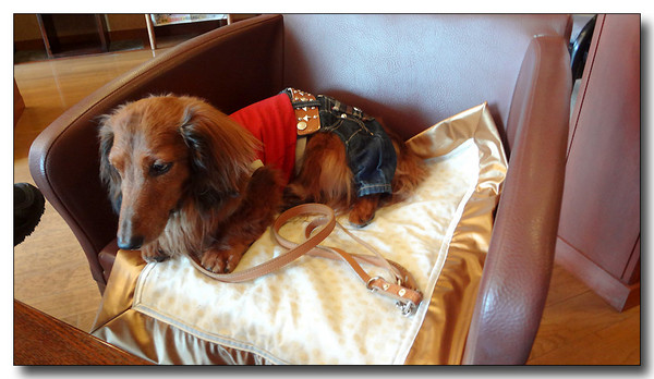 20130530103905.JPG
