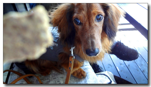 20130604082105.JPG