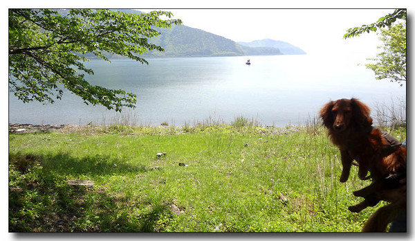 20130604084907.JPG