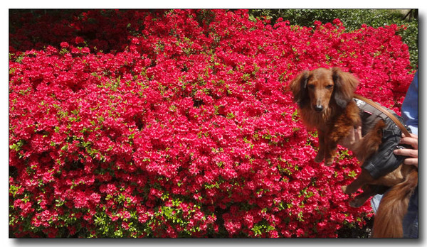 20130604084908.JPG