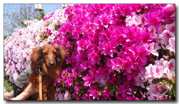 20130604084910.JPG