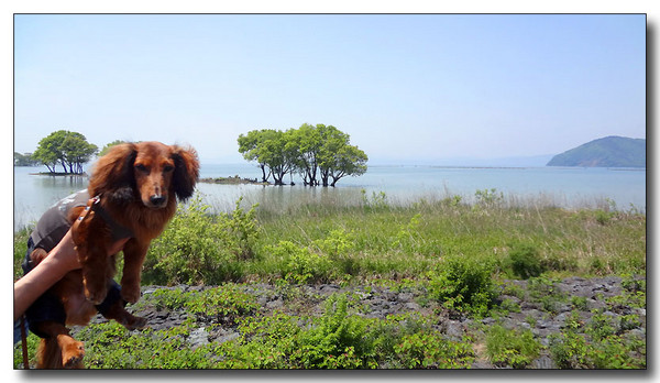 20130604084928.JPG