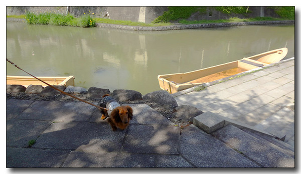 20130605005856.JPG