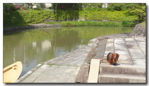 20130605005858.JPG