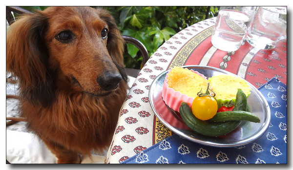 20130605101445.JPG