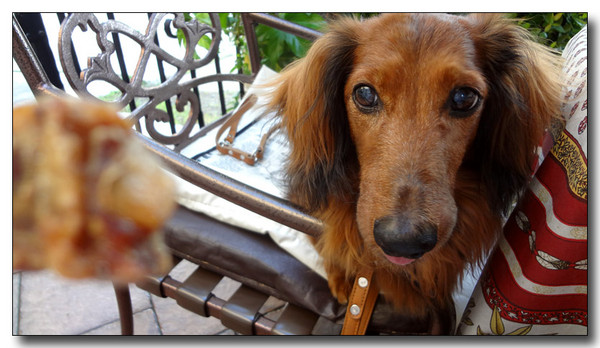 20130605101446.JPG