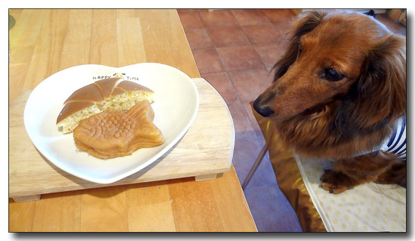 20130605190317.JPG
