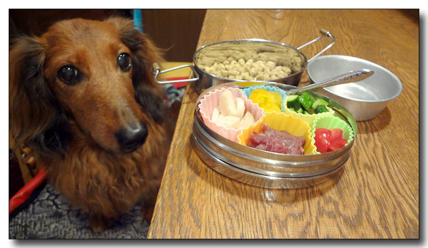 20130606103552.JPG