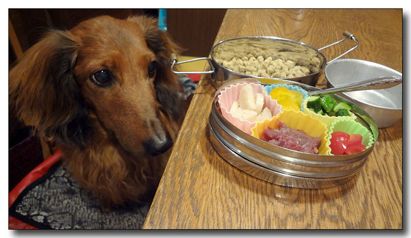 20130606103605.JPG