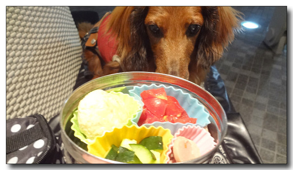 20130619071228.JPG