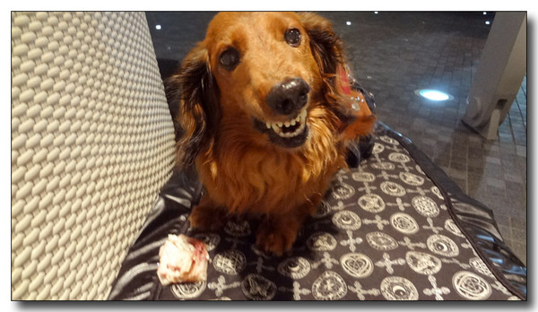 20130619071231.JPG