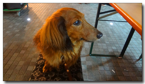 20130619071508.JPG