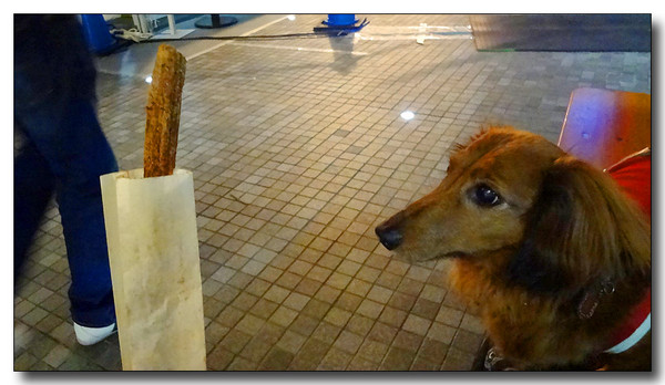 20130619071510.JPG