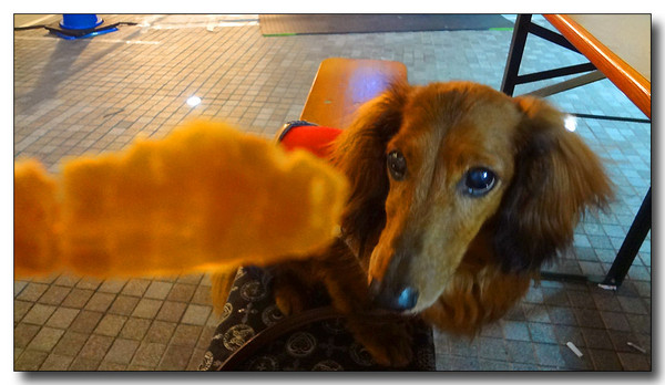 20130619071530.JPG