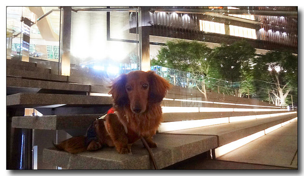 20130619072213.JPG