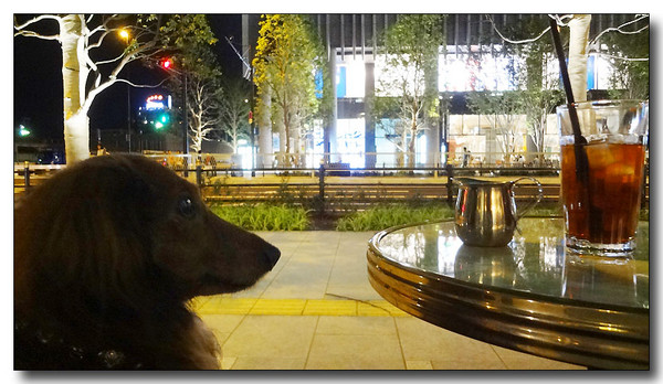 20130619072533.JPG