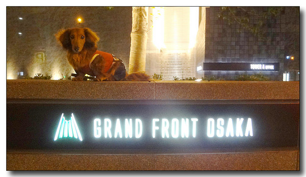 20130619073556.JPG
