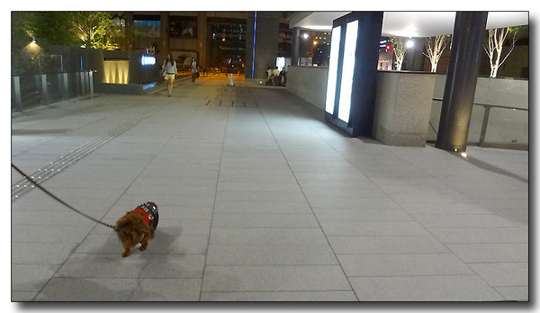 20130619073558.JPG