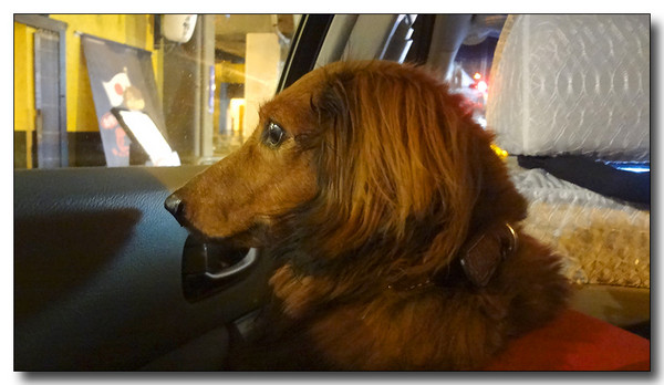 20130619073618.JPG