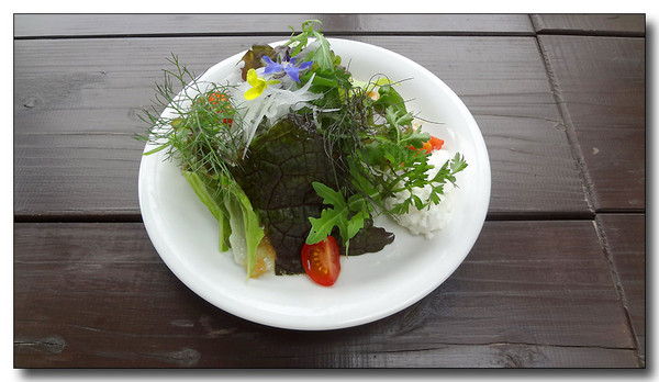 20130620135118.JPG