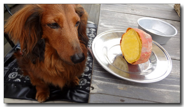 20130620135147.JPG