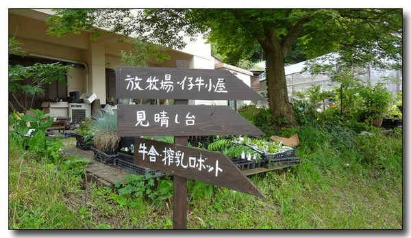20130620135247.JPG