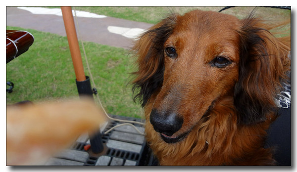 20130622013444.JPG