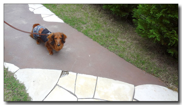 20130622013446.JPG