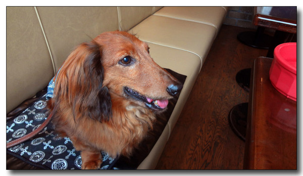 20130622093752.JPG