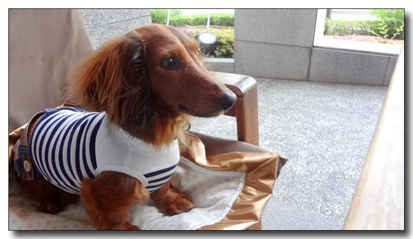 20130622203712.JPG