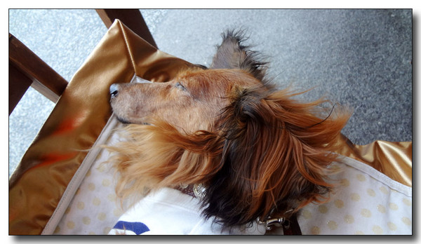 20130622203716.JPG
