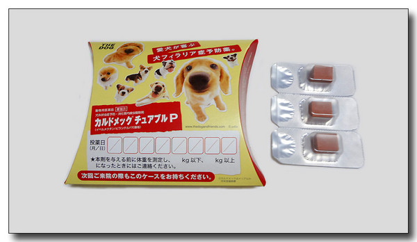 20130623000108.JPG