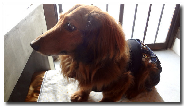 20130623173636.JPG