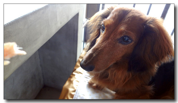 20130623173639.JPG