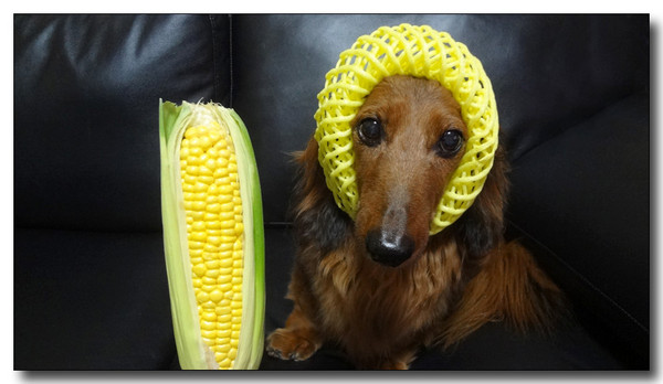 20130623192447.JPG