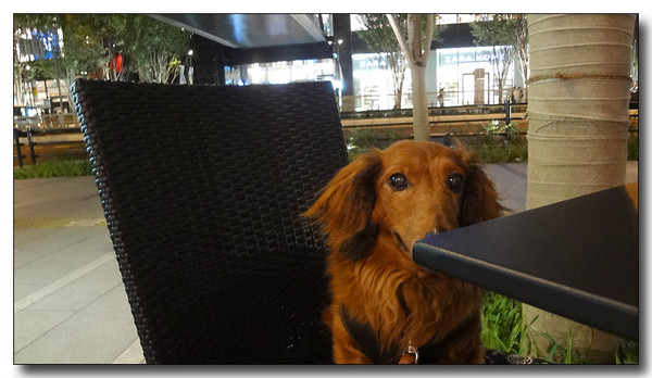 20130624081429.JPG