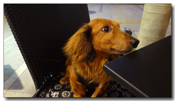 20130624081431.JPG