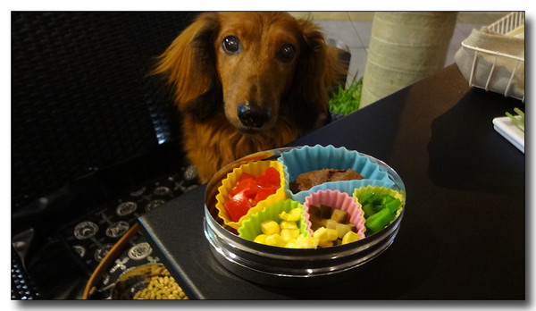 20130624081505.JPG