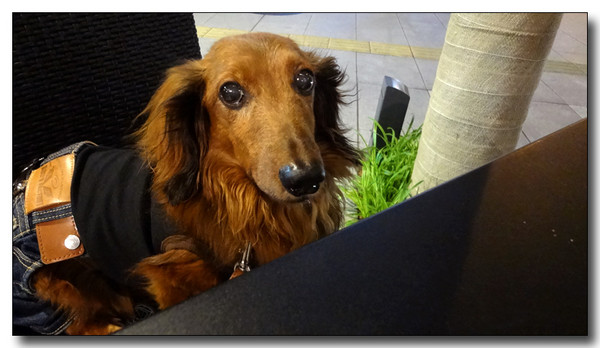 20130624081623.JPG