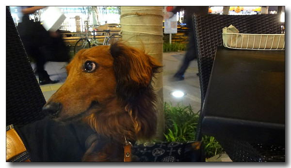 20130624081624.JPG