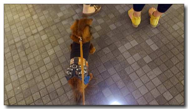 20130624101912.JPG