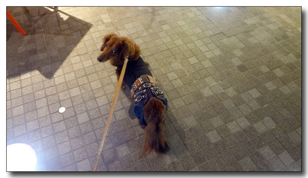 20130624101913.JPG