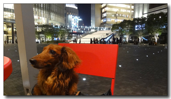 20130624101914.JPG