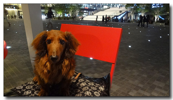 20130624101935.JPG
