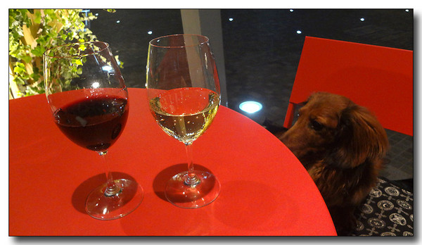 20130624101936.JPG