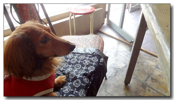 20130624134640.JPG
