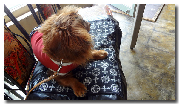 20130624134705.JPG