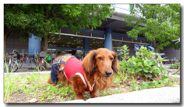 20130624140411.JPG